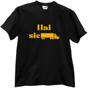 Hai sictir!